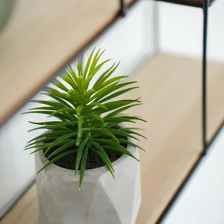 Piroska Bartokteri 02 Έγκερ