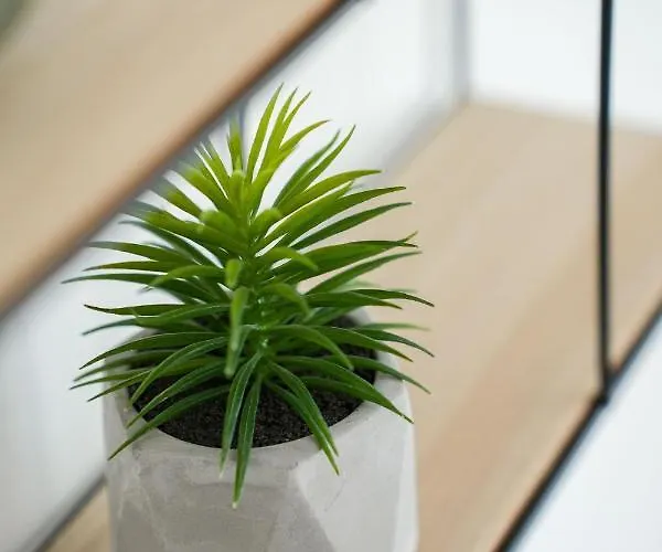 Piroska Bartóktéri 02 Eger